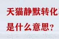 天貓靜默轉(zhuǎn)化率是什么意思？