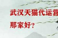 武漢天貓代運營那家好？
