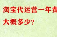 淘寶代運(yùn)營(yíng)一年費(fèi)用大概多少？