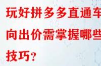 玩好拼多多直通車定向出價(jià)需掌握哪些技巧？