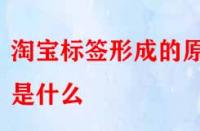 怎樣得到精準(zhǔn)流量？淘寶標(biāo)簽形成的原因是什么？
