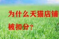 為什么天貓店鋪會(huì)被扣分？