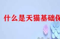什么是天貓基礎(chǔ)保障？它的作用是什么？