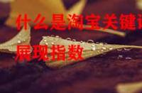 什么是淘寶關(guān)鍵詞展現(xiàn)指數(shù)？它的作用是什么？