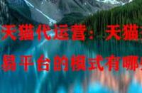 天貓代運(yùn)營(yíng)：天貓交易平臺(tái)的模式有哪些？