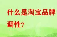 什么是淘寶品牌調(diào)性？