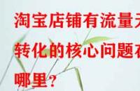 淘寶店鋪有流量無(wú)轉(zhuǎn)化的核心問(wèn)題在哪里？