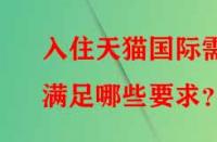 入住天貓國際需滿足哪些要求？