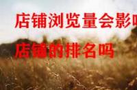 淘寶代運營：店鋪瀏覽量會影響店鋪的排名嗎？