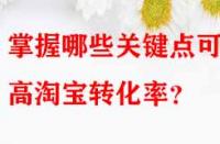 掌握哪些關(guān)鍵點(diǎn)可提高淘寶轉(zhuǎn)化率？