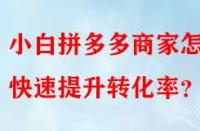小白拼多多商家怎樣快速提升轉(zhuǎn)化率？