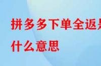拼多多下單全返是什么意思？具體是如何操作的？