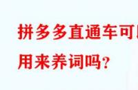 拼多多直通車(chē)可以用來(lái)養(yǎng)詞嗎？