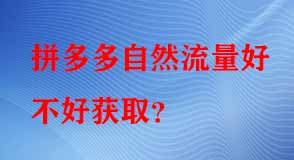 拼多多代運(yùn)營
