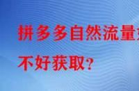 拼多多自然流量好不好獲??？