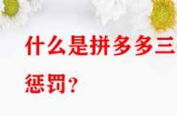 什么是拼多多三級(jí)懲罰？