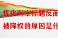 優(yōu)化淘寶標(biāo)題反而被降權(quán)的原因是什么？