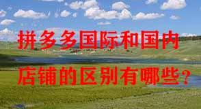 拼多多代運(yùn)營(yíng)
