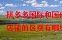 拼多多國際和國內(nèi)店鋪的區(qū)別有哪些？