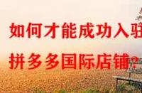 如何才能成功入駐拼多多國(guó)際店鋪？