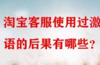 淘寶客服使用過激言語的后果有哪些？