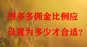 拼多多代運(yùn)營