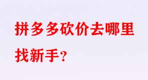 拼多多代運(yùn)營