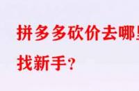 拼多多砍價去哪里找新手？