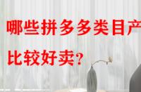 哪些拼多多類(lèi)目產(chǎn)品比較好賣(mài)？