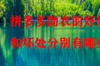 拼多多助農(nóng)的好處和壞處分別有哪些？