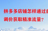 拼多多店鋪怎樣通過自動(dòng)調(diào)價(jià)獲取精準(zhǔn)流量？