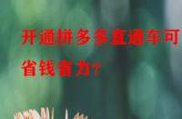 開通拼多多直通車可更省錢省力？